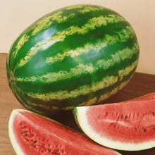 Load image into Gallery viewer, WATERMELON CRIMSON SWEET ORGANIC SEED
