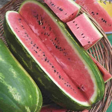 Load image into Gallery viewer, WATERMELON CANDY RED SEED
