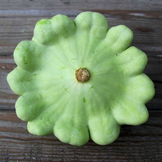 ZUCCHINI ALIEN SCALLOPINI KIDS SEED