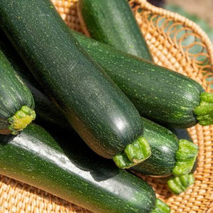 ZUCCHINI DARK GREEN ORGANIC SEED