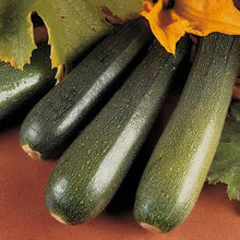 Load image into Gallery viewer, ZUCCHINI PARTENON HYBRID SEED
