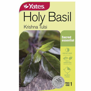 HOLY BASIL TULSI SEED