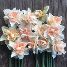 Load image into Gallery viewer, DAFFODIL DOUBLE DELNASHAUGH 5PK

