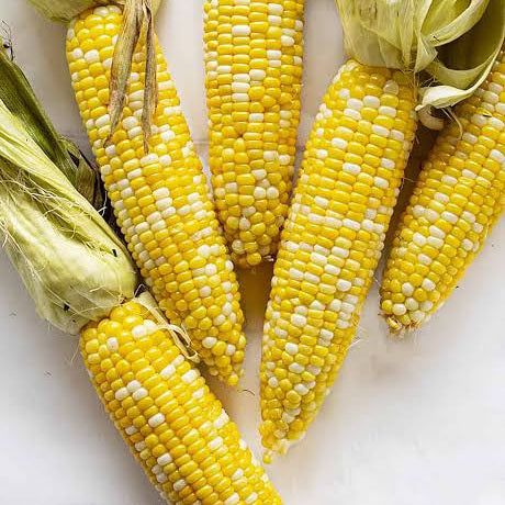 SWEETCORN TENDER SWEET SEED