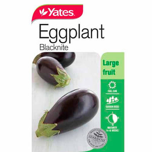 EGGPLANT BLACKNITE SEED