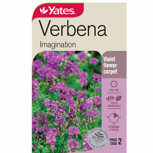 VERBENA IMAGINATION SEED