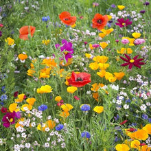 Load image into Gallery viewer, WILDFLOWER MEADOW MIX SEED
