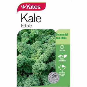 KALE TUSCAN SEED