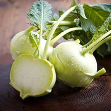 Load image into Gallery viewer, KOHL RABI GREEN DUKE HYBRID SEED
