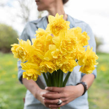 Load image into Gallery viewer, DAFFODIL DOUBLE DICK WILDEN 5PK
