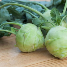 Load image into Gallery viewer, KOHL RABI GREEN DUKE HYBRID SEED
