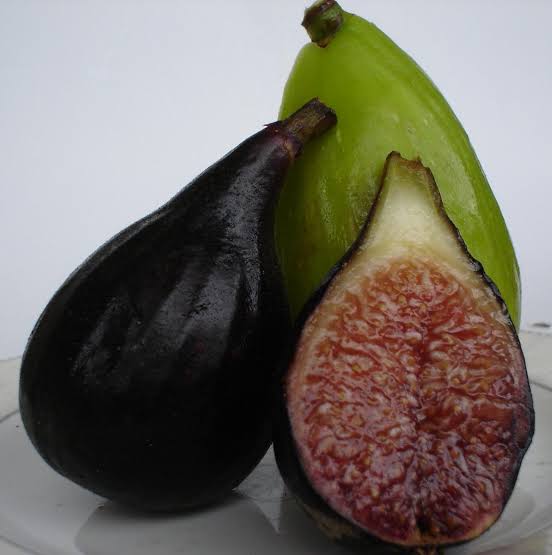 FIG BRUNORO BLACK 3.0L