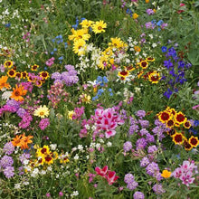 Load image into Gallery viewer, WILDFLOWERS OF THE WORLD SEED

