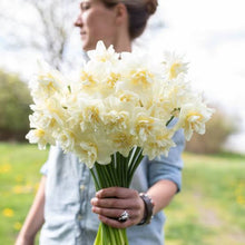 Load image into Gallery viewer, DAFFODIL DOUBLE OBDAM 5PK
