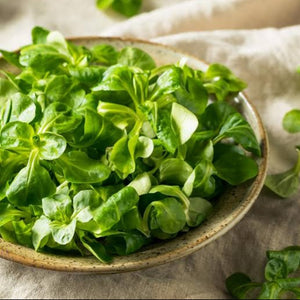 CORN SALAD LAMBS LETTUCE SEED