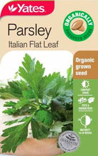 Load image into Gallery viewer, PARSLEY ITALIAN FLAT LEAF ORGANIC SEED
