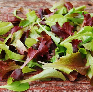 LETTUCE CUT & COME AGAIN SEED PACK