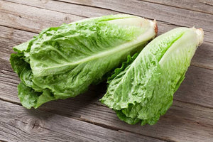 LETTUCE COS TRENDSETTER SEED