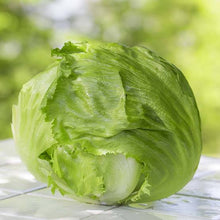 Load image into Gallery viewer, LETTUCE ICEBERG WEBBS WONDERFUL SEED
