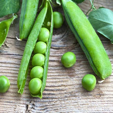 Load image into Gallery viewer, PEAS MASSEY EARLY CROP SEED
