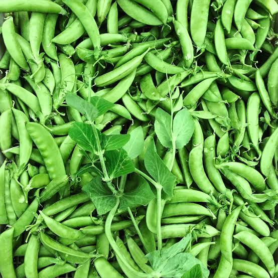 PEAS SUGARSNAP CLIMBING SEED