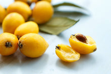 Load image into Gallery viewer, LOQUAT THAMES PRIDE PB5
