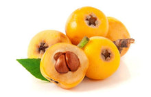 Load image into Gallery viewer, LOQUAT THAMES PRIDE PB5
