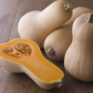 PUMPKIN BUTTERNUT SEED