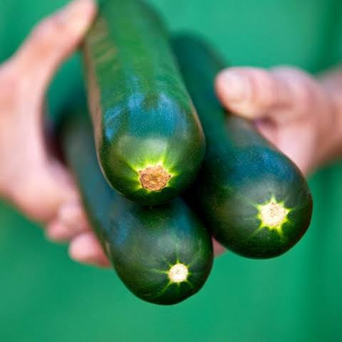 COURGETTE LEADER SEED