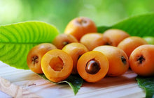 Load image into Gallery viewer, LOQUAT THAMES PRIDE PB5
