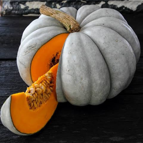 PUMPKIN QUEENSLAND BLUE SEED