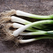 Load image into Gallery viewer, SPRING ONION ORGANIC SEED
