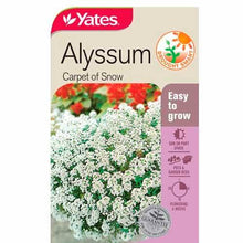 Load image into Gallery viewer, ALYSSUM CARPET OF SNOW SEED
