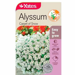 ALYSSUM CARPET OF SNOW SEED