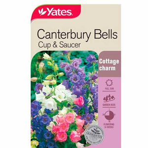 CANTERBURY BELLS CUP & SAUCER SEED