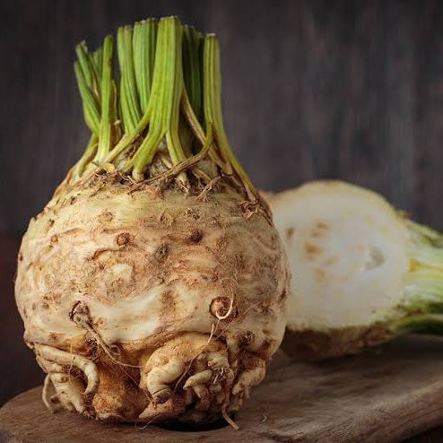 CELERIAC MARS SEED