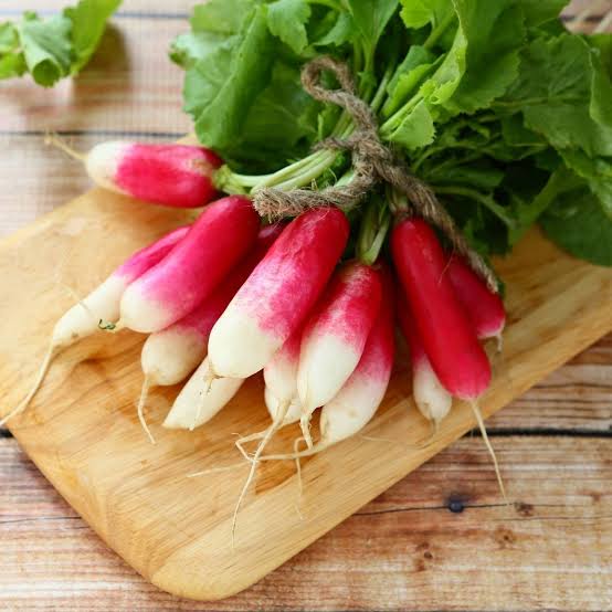 RADISH FRENCH BREAKFAST SEED