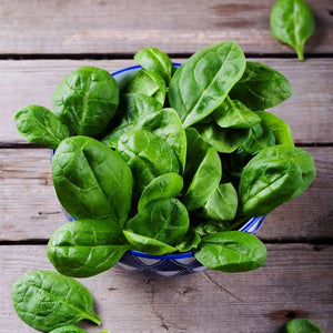 SPINACH BABY LEAVES SEED