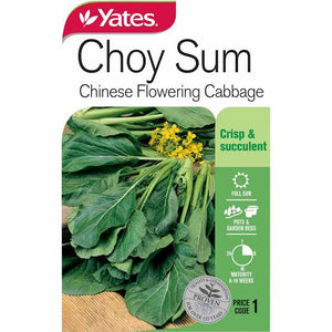 CABBAGE CHOY SUM SEED