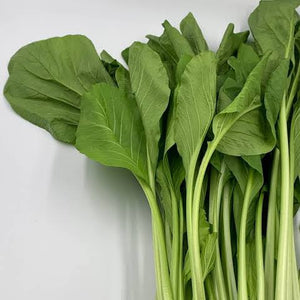 CABBAGE CHOY SUM SEED