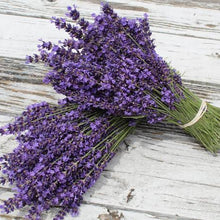 Load image into Gallery viewer, LAVENDER ENGLISH PACIFIC BLUE 1.5L
