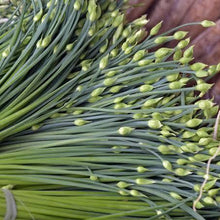 Load image into Gallery viewer, CHIVES GARLIC ORGANIC SEED
