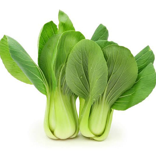 CABBAGE BOK CHOY SHANGHAI SEED