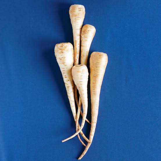 PARSNIP YATESNIP SEED