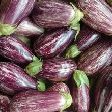 Load image into Gallery viewer, EGGPLANT BABY BRINJAL SEED
