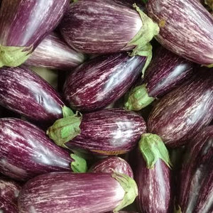 EGGPLANT BABY BRINJAL SEED