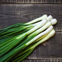 Load image into Gallery viewer, SPRING ONION STRAIGHT SEED
