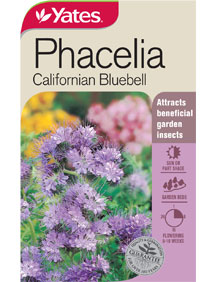 PHACELIA CALIFORNIAN BLUEBELL SEED