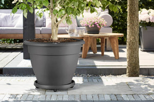 ELHO PLANT TAXI 30CM ANTHRACITE