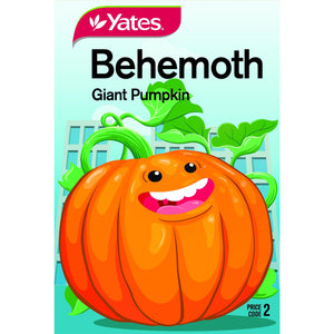 PUMPKIN GIANT BEHEMOTH KIDS SEED